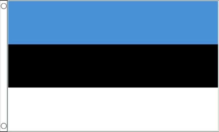 Vlag Estland 90x150cm Best Value Vlaggenclub