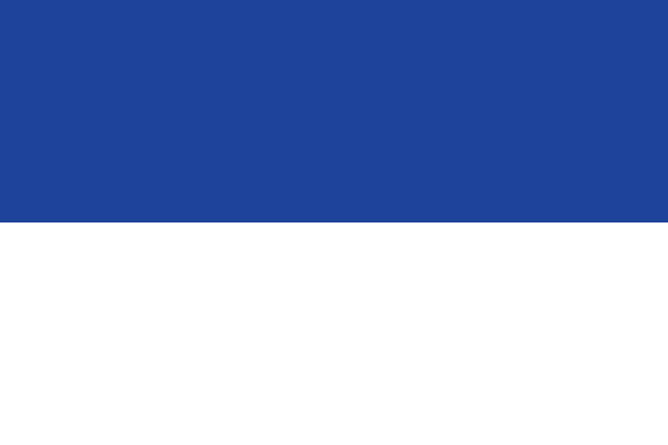 Vlag Assen