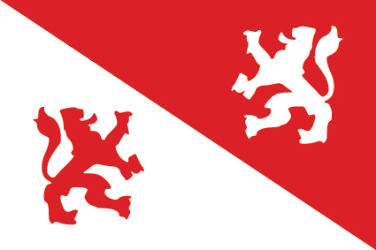 Vlag Koog aan de Zaan