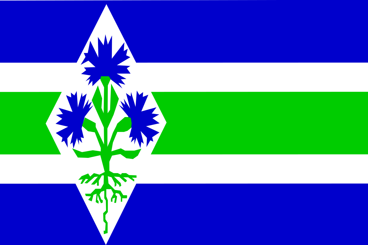 Vlag Blaricum