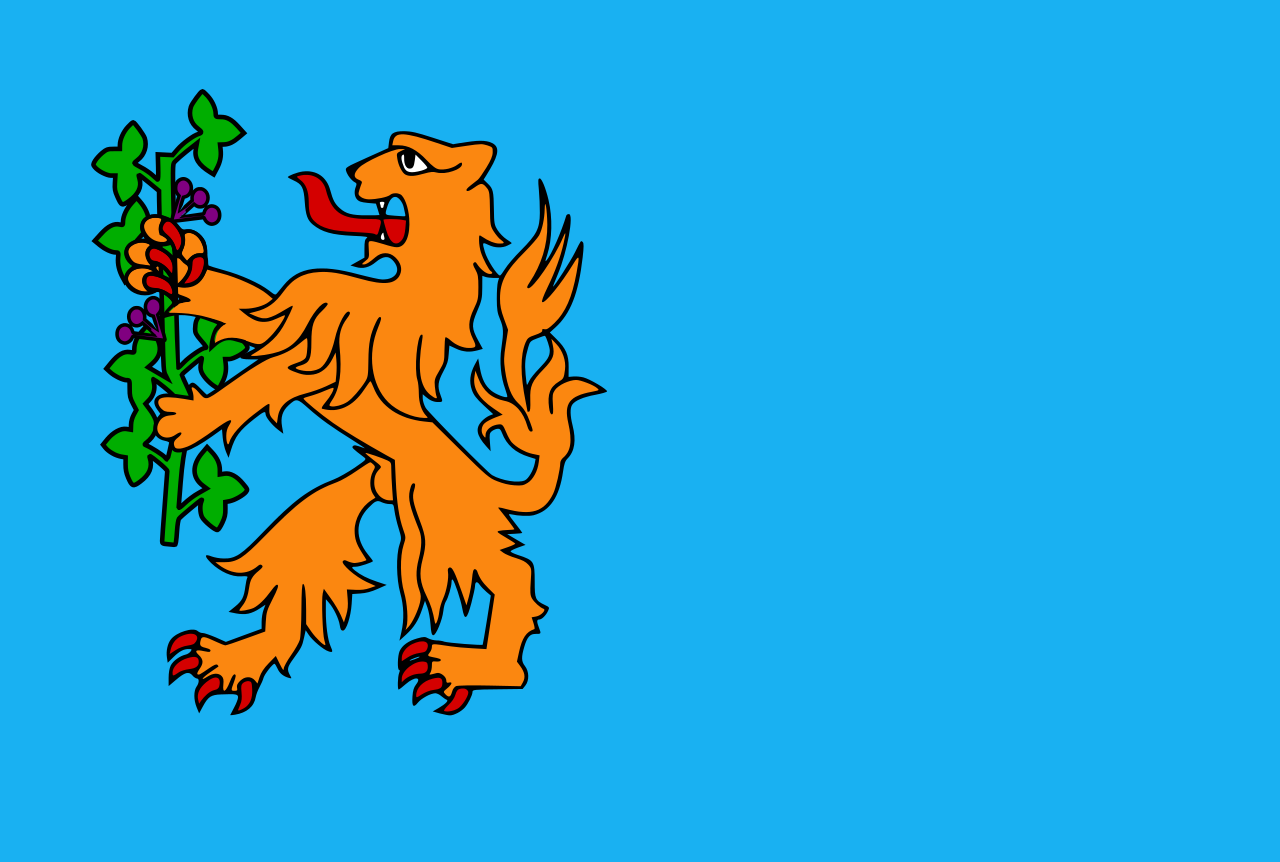 Vlag Brummen