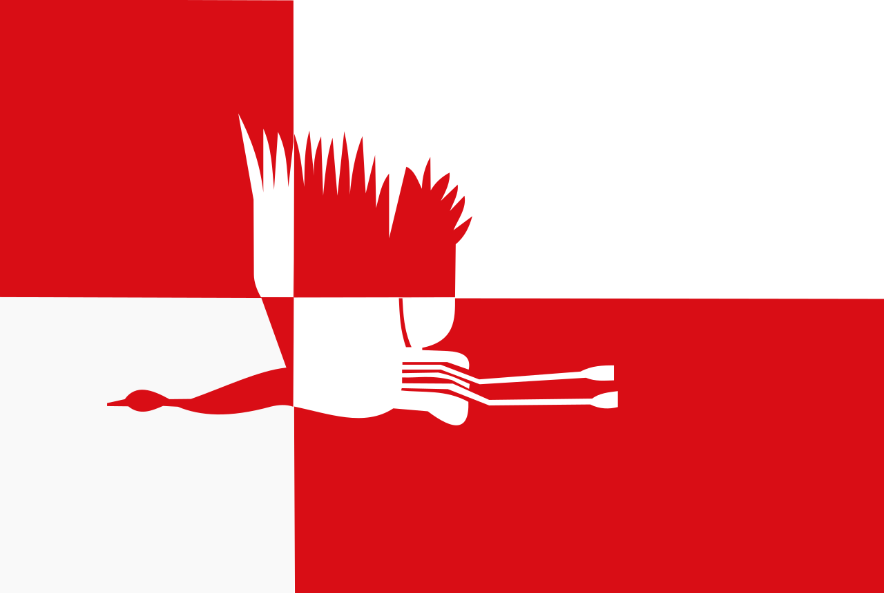 Vlag Cranendonck