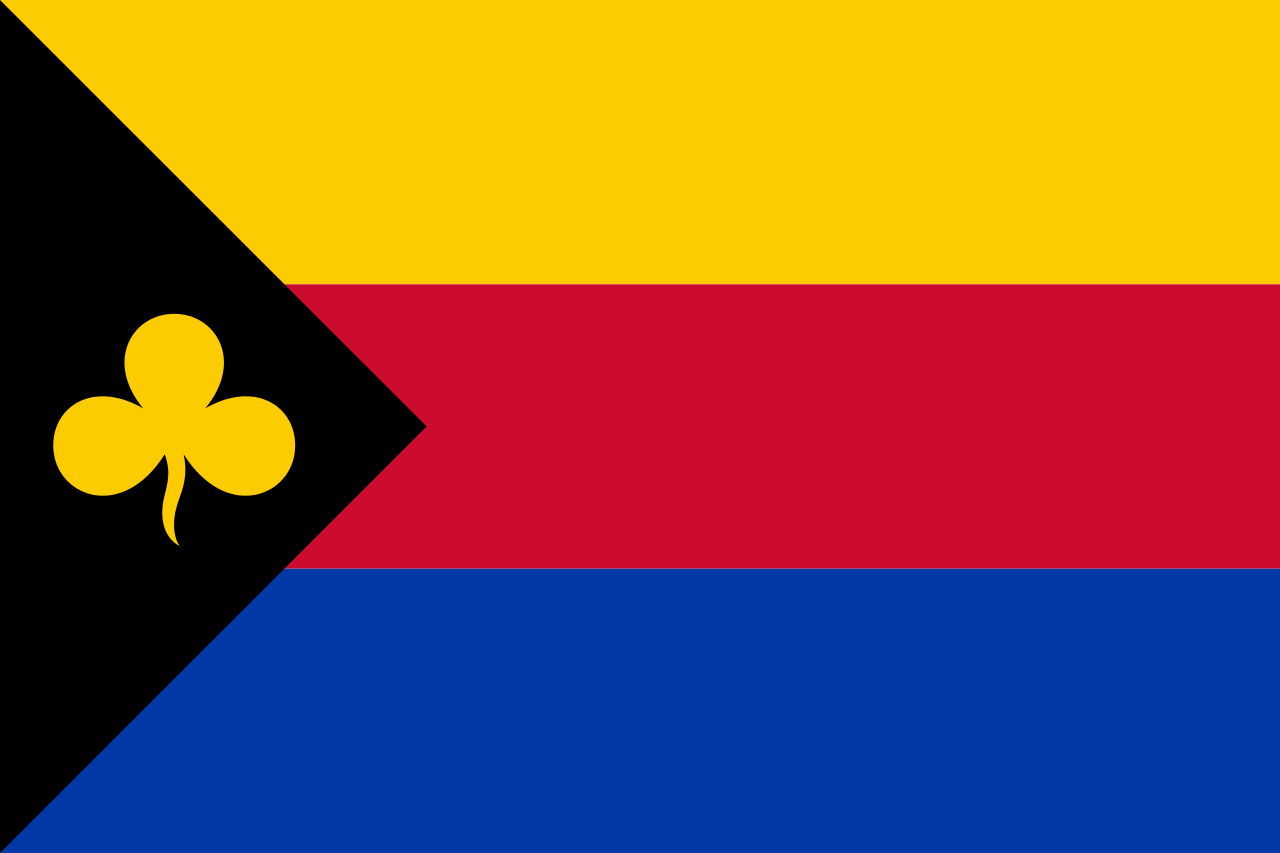 Vlag Delfzijl