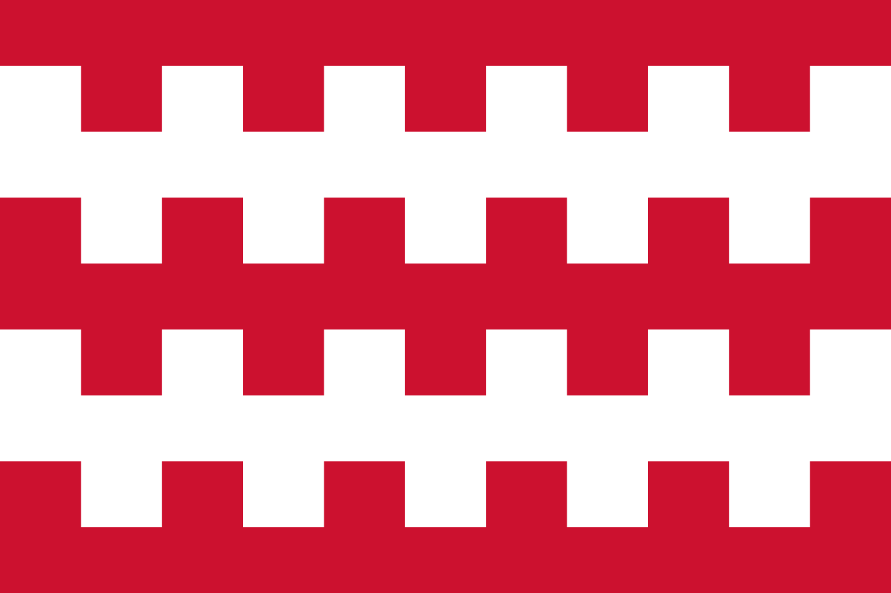 Vlag Dongen