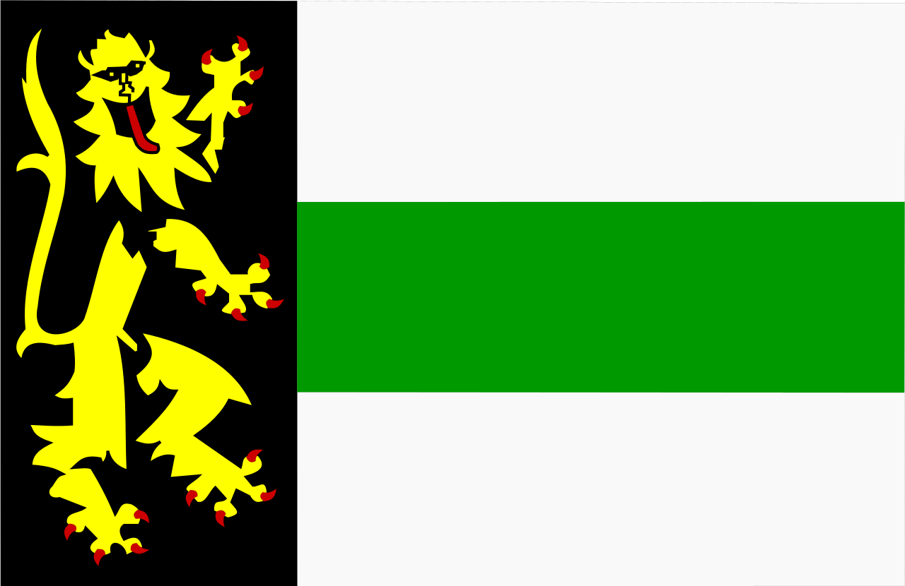 Vlag Druten