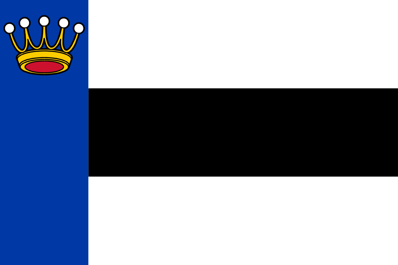 Vlag Heerenveen