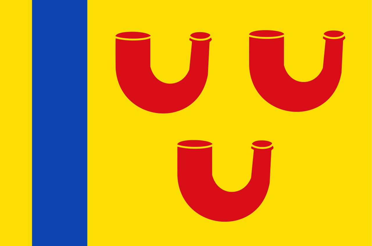 Vlag Leudal