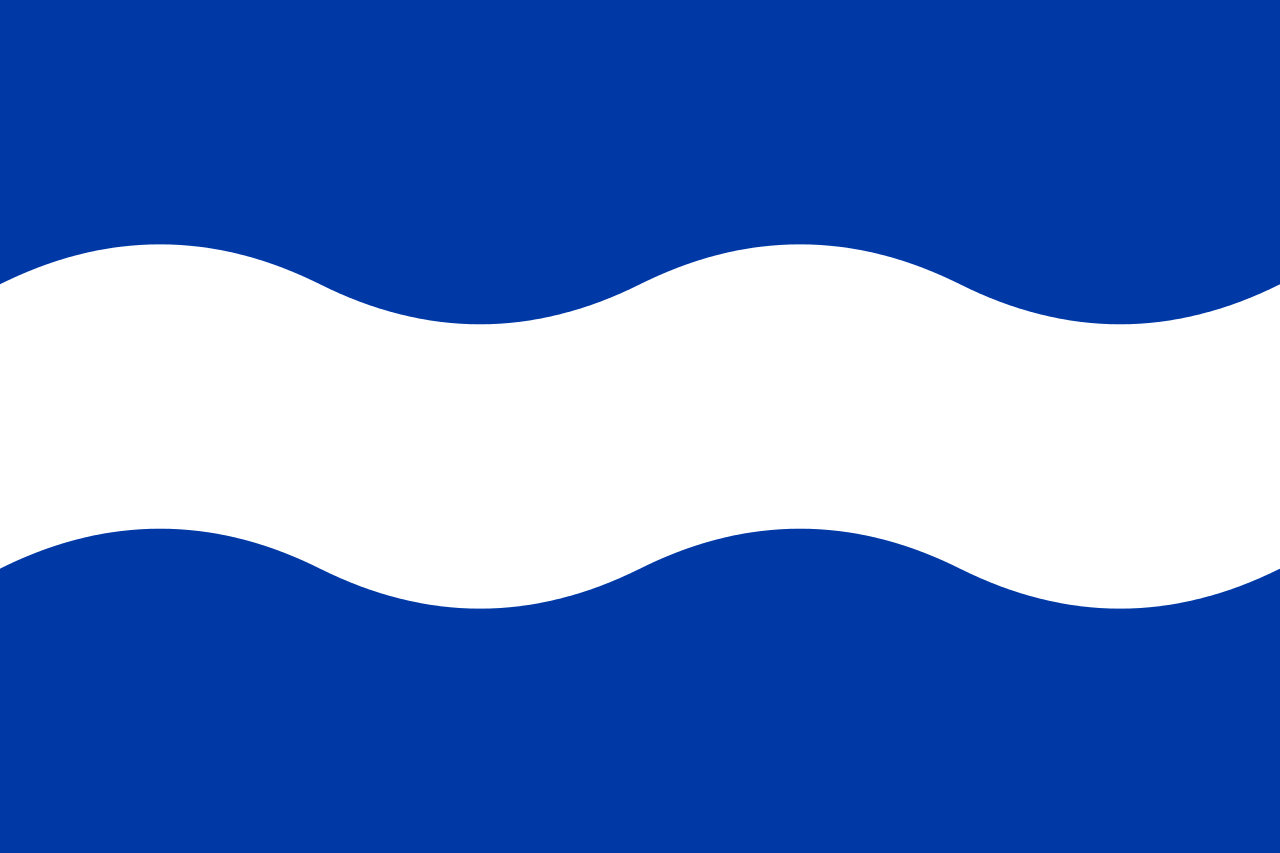 Vlag Maassluis