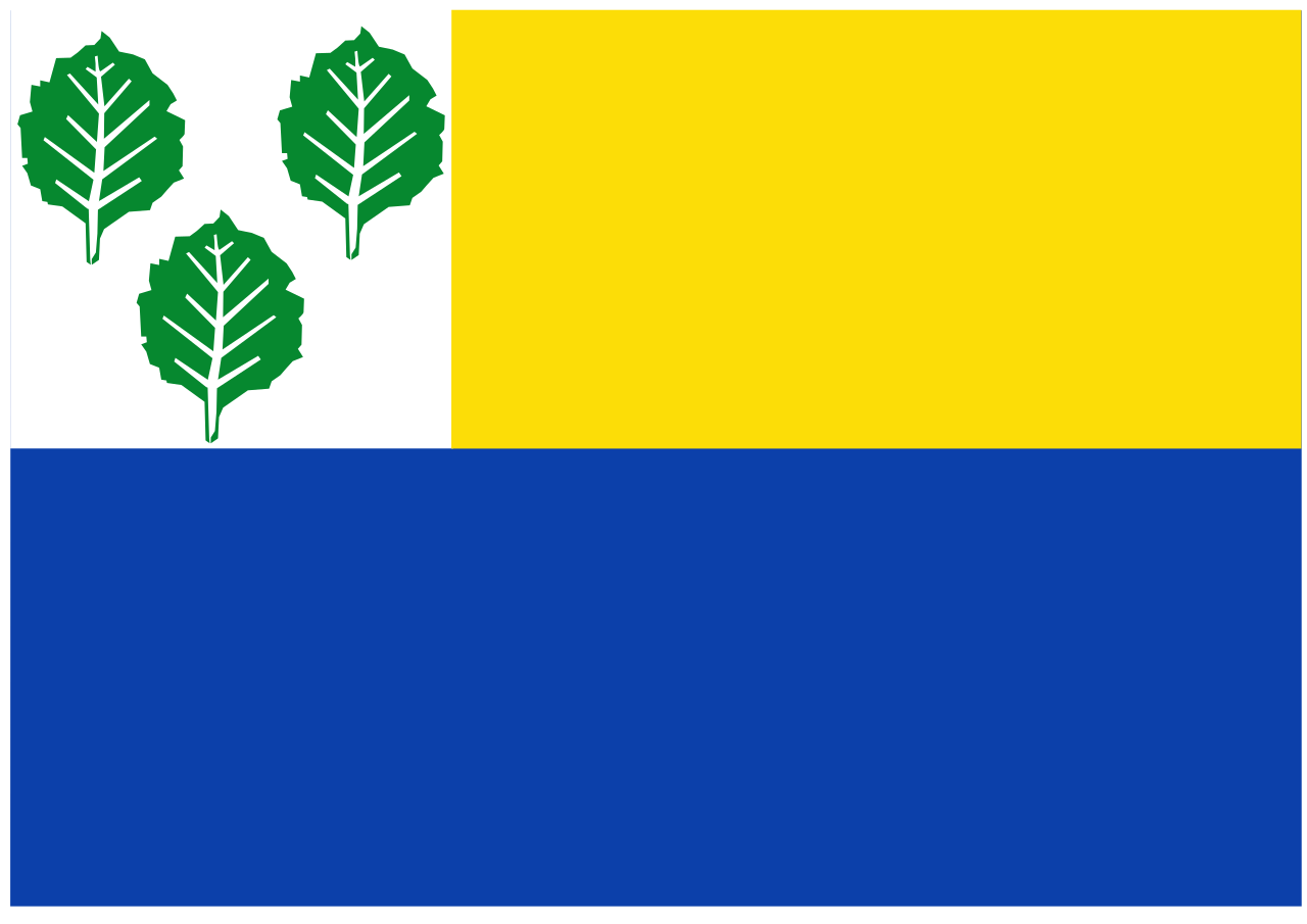 Vlag Oldebroek