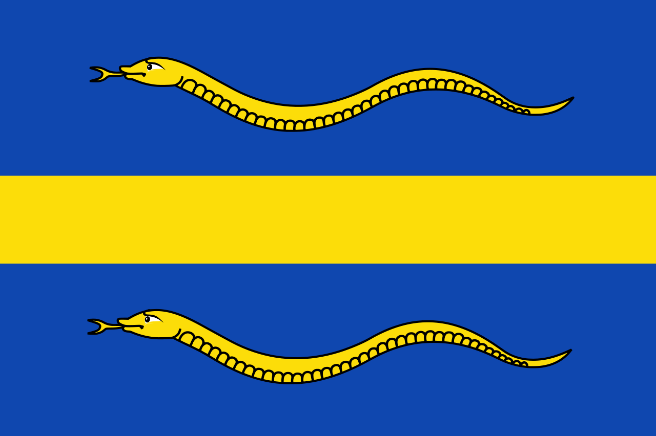 Vlag Pijnacker-Nootdorp