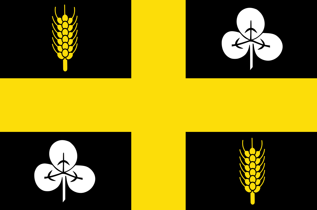 Vlag Raalte