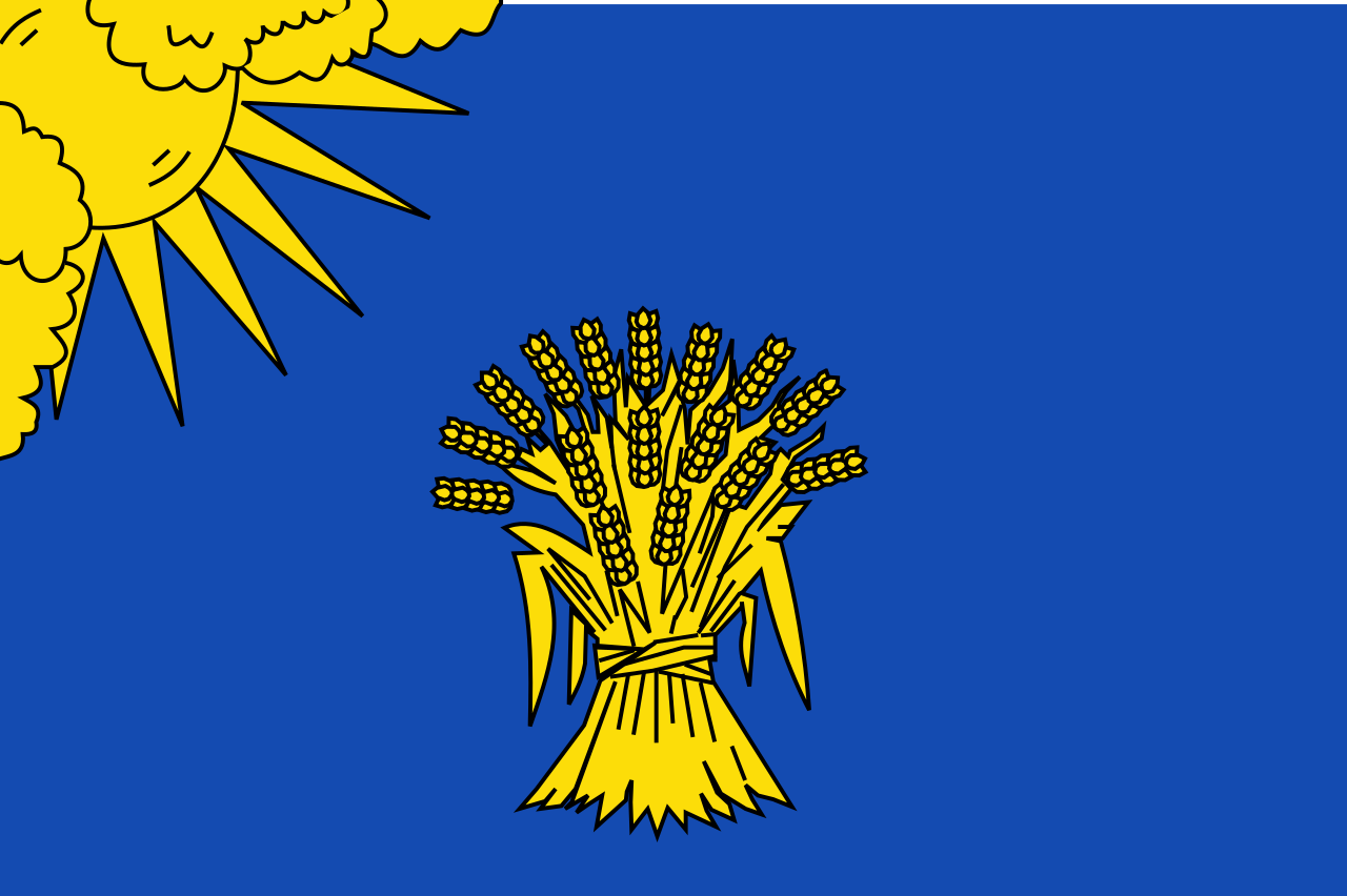 Vlag Reusel-De Mierden