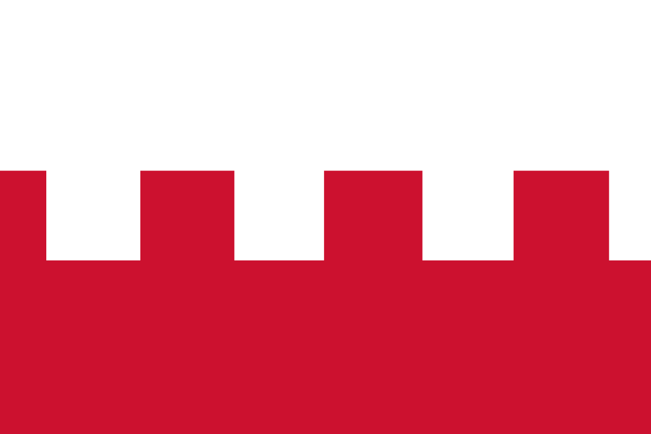 Vlag Rhenen