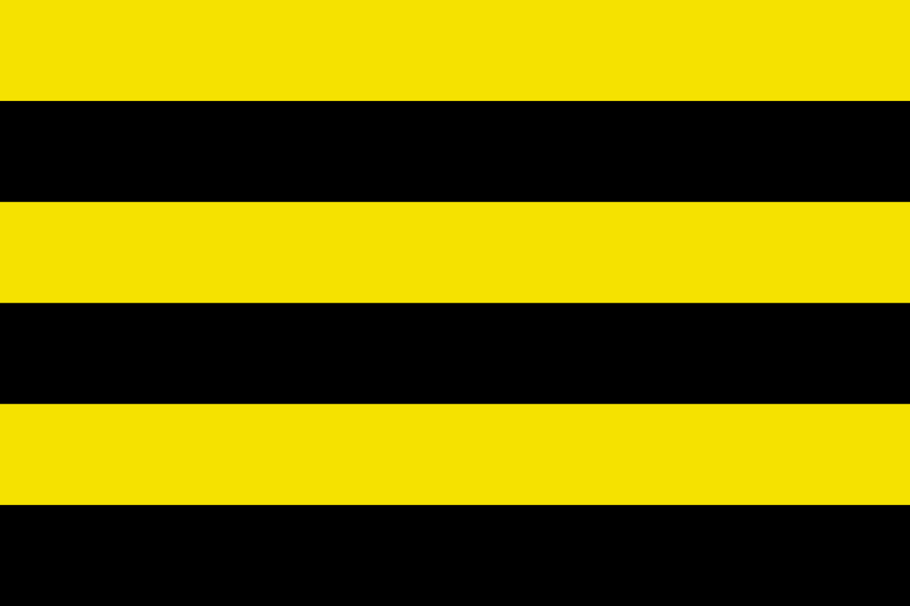 Vlag Schiedam