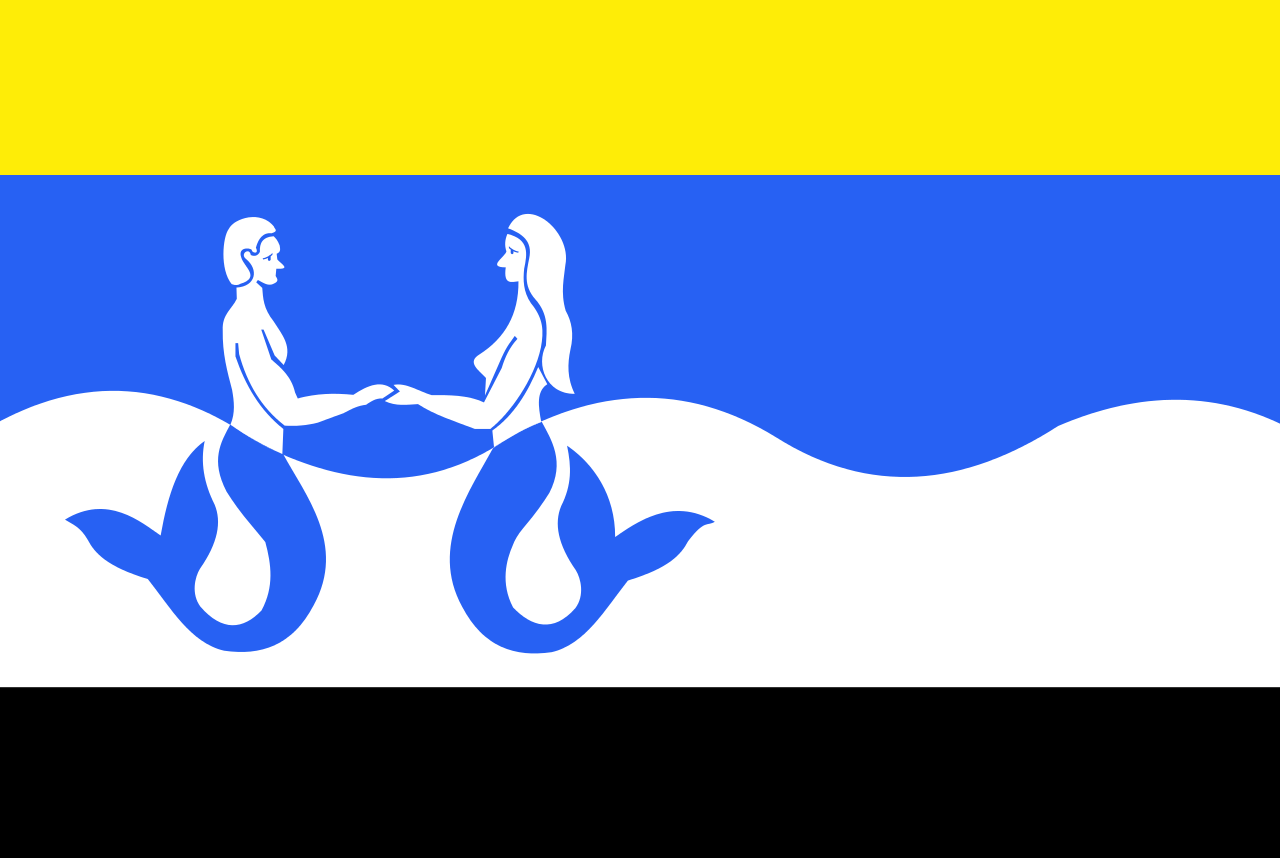 Vlag Schouwen-Duiveland