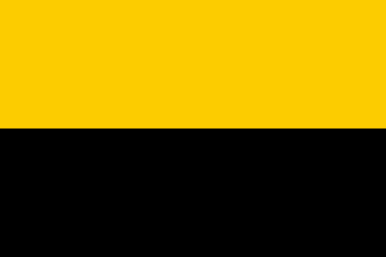 Vlag Tiel