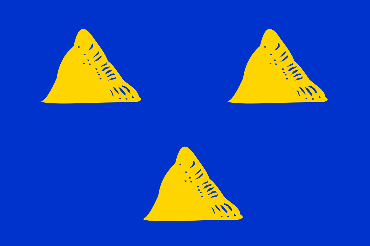 Vlag Tubbergen