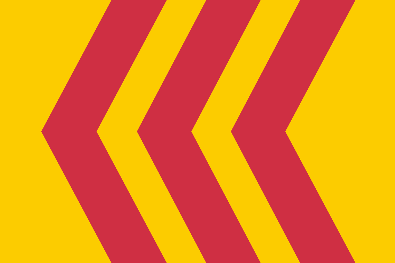 Vlag Voorst