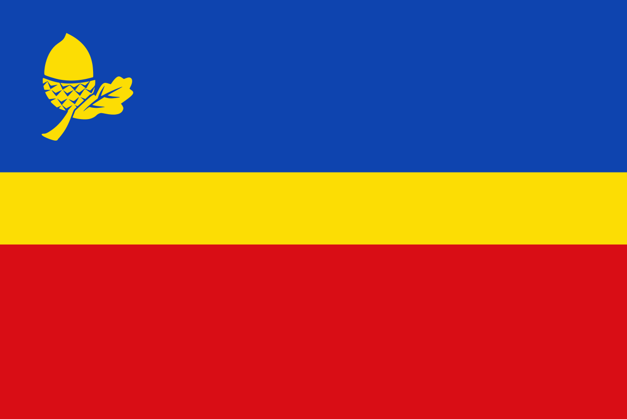 Vlag Waalre