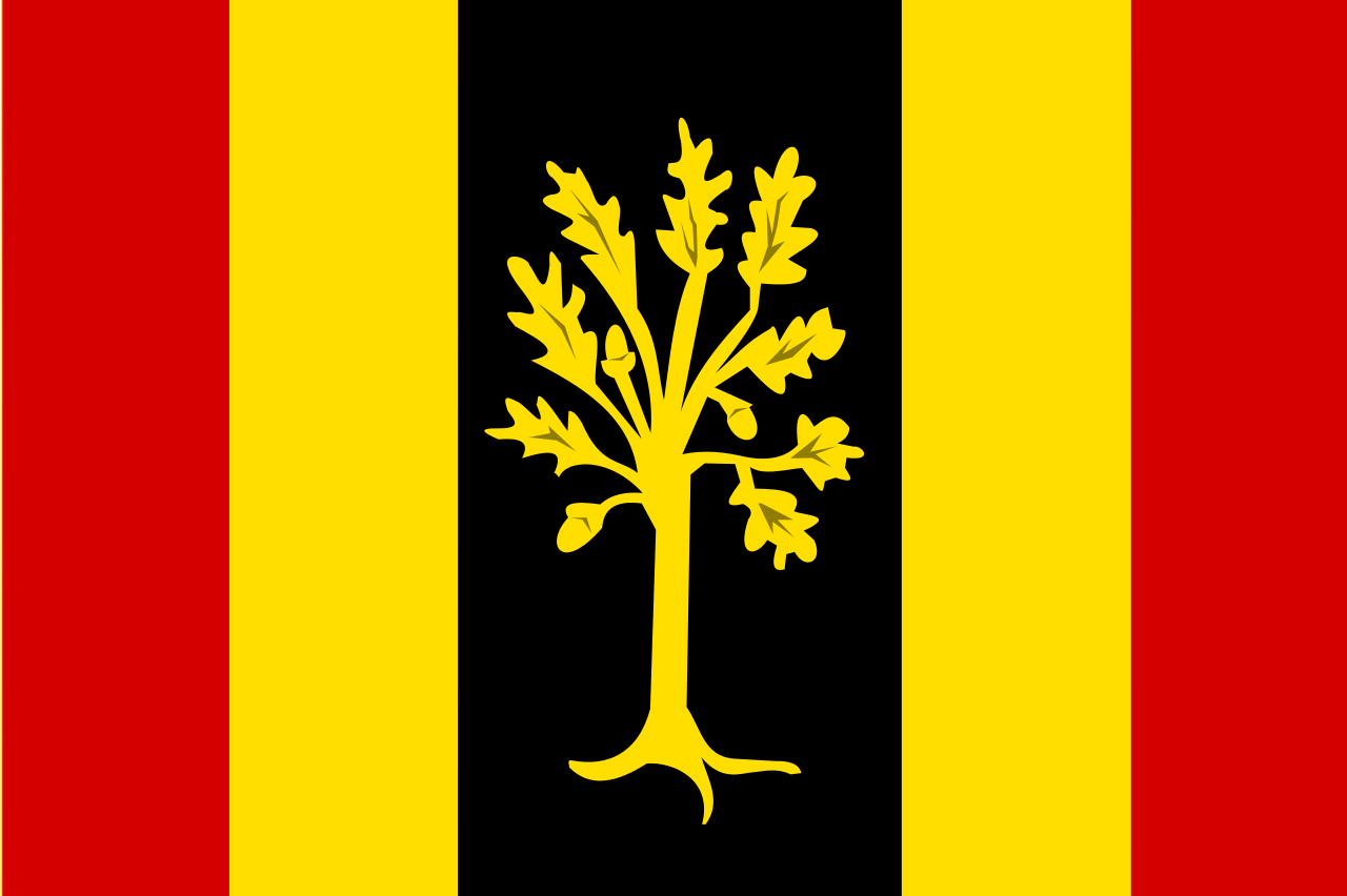 Vlag Waalwijk