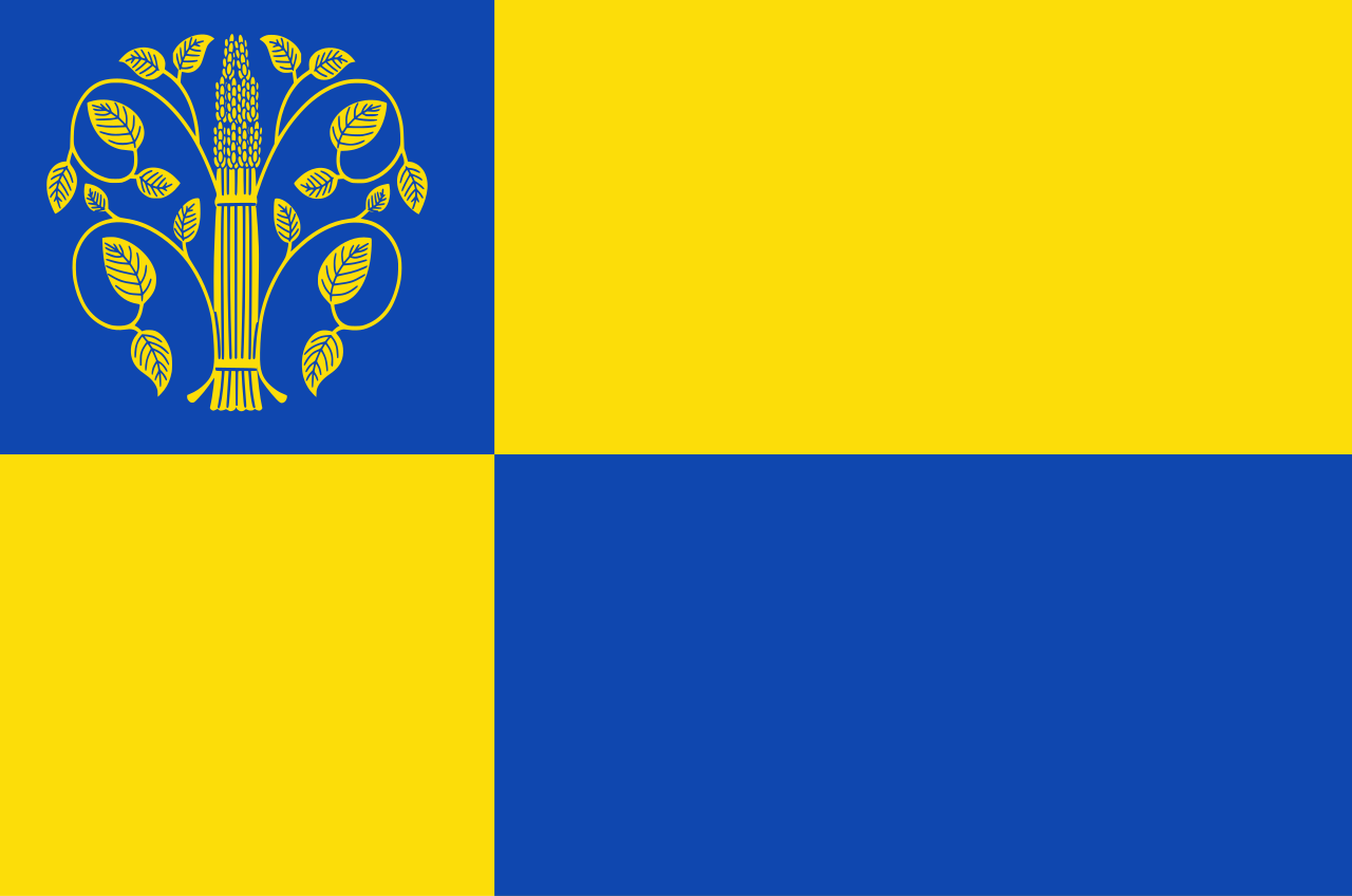 Vlag Westerwolde