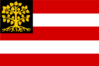 Vlag Den Bosch