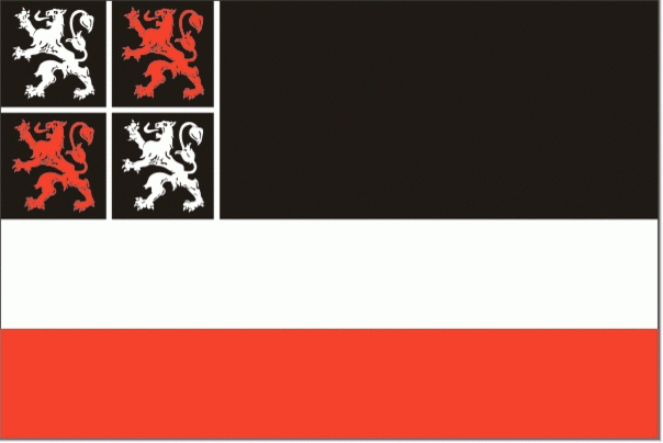 Vlag Uitgeest