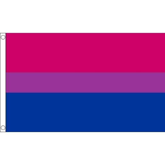 Bi-Pride vlag 90x150cm | Best value