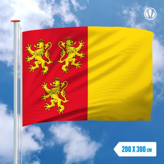 Vlag Chièvres 200x300cm