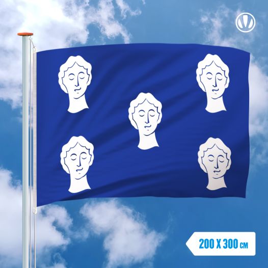 Vlag Ciney 200x300cm