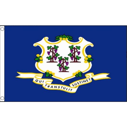 Vlag Connecticut 90x150cm | Best Value