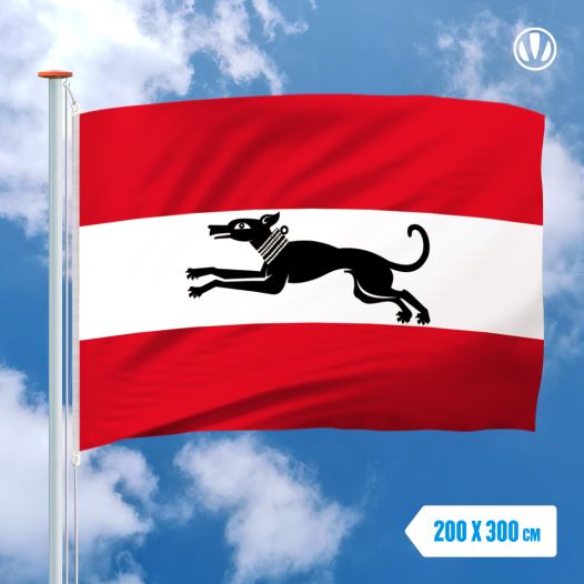 Vlag Damme 200x300cm