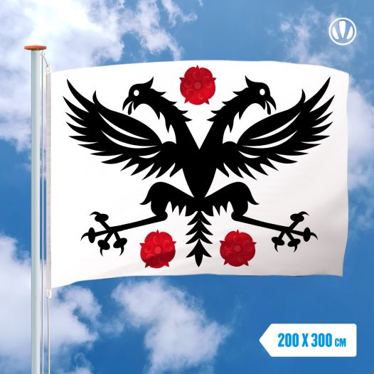 Vlag Deinze 200x300cm