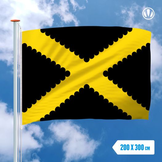 Vlag Dessel 200x300cm