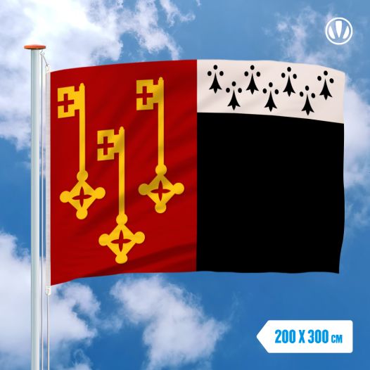 Vlag Destelbergen 200x300cm