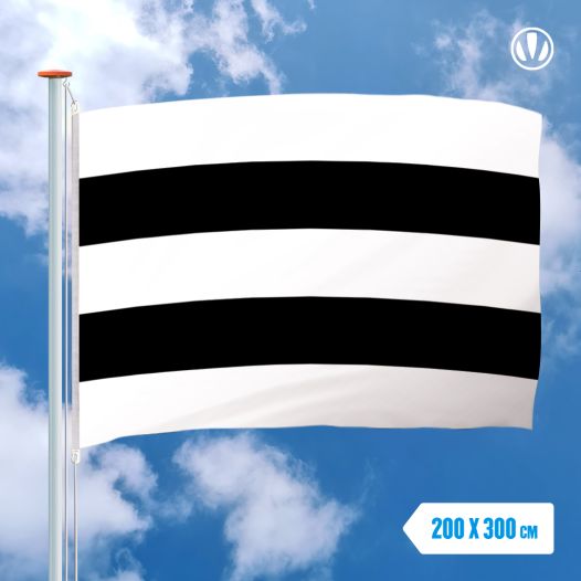 Vlag Diest 200x300cm