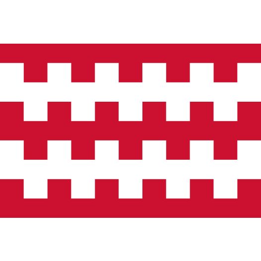 Vlag Dongen 30x45cm