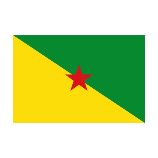 Vlag Frans-Guyana 30x45cm