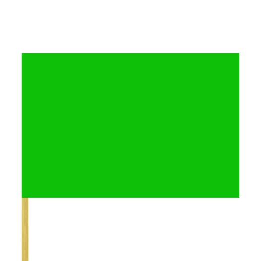 Zwaaivlag groen 50x75cm met stok van 80cm