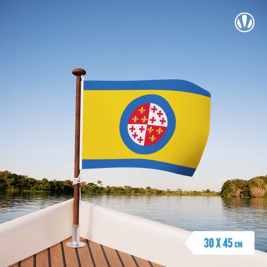 Vlag Harlingen 30x45cm