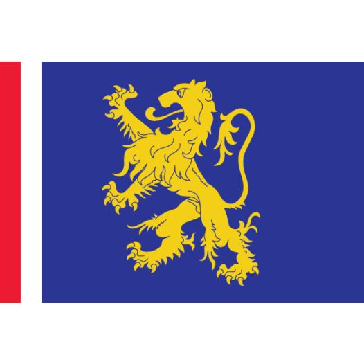 Vlag Leeuwarden 30x45cm