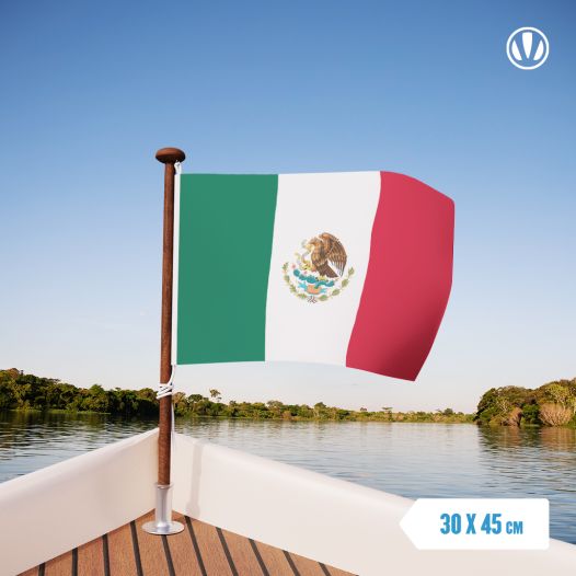 Vlag Mexico 30x45cm