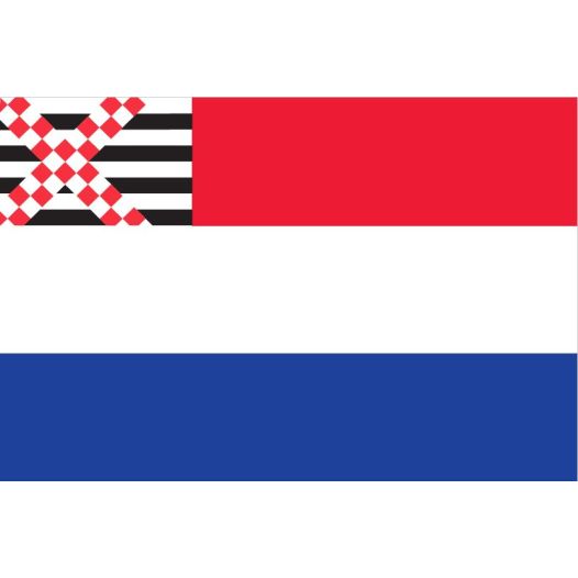 Vlag Nederland met inzet Loosdrechtse vlag 80x120cm