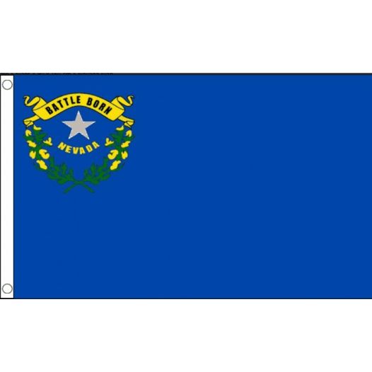 Vlag Nevada 90x150cm | Best Value