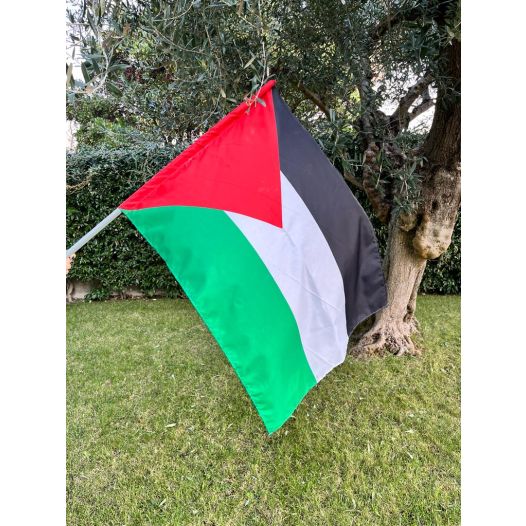 Palestijnse vlag 70x100cm met stok zwaaivlag