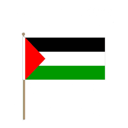 Zwaaivlag Palestina 30x45cm | Stof