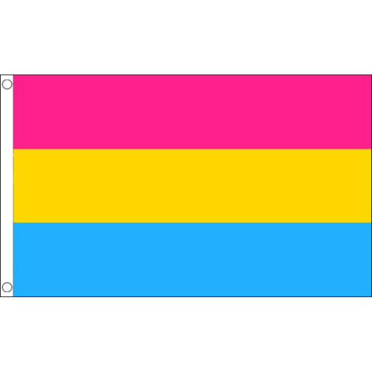 Vlag Panseksueel 90x150cm | Best value