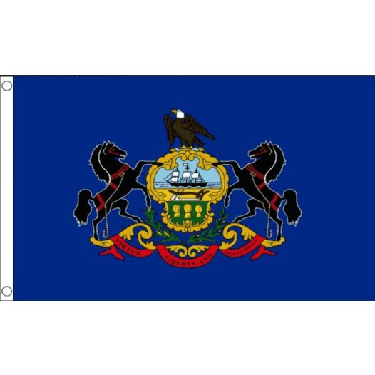 Vlag Pennsylvania 90x150cm | Best Value