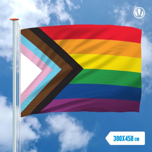 Pride vlag - Progress vlag 300x450cm