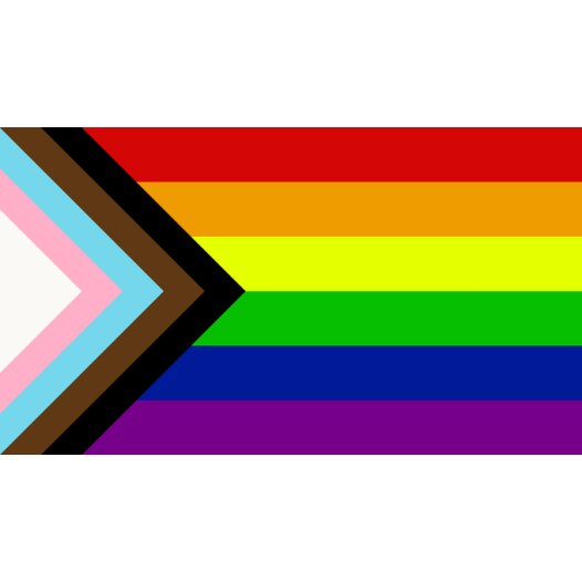 Pride Vlag / Progress vlag 70x100cm